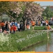 IMG_1355-border