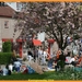 IMG_1362-border