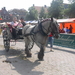 DSCN2581