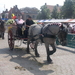 DSCN2582