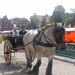 DSCN2583