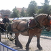 DSCN2585