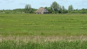 Typische Friese hoeve