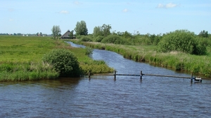 DSC04004