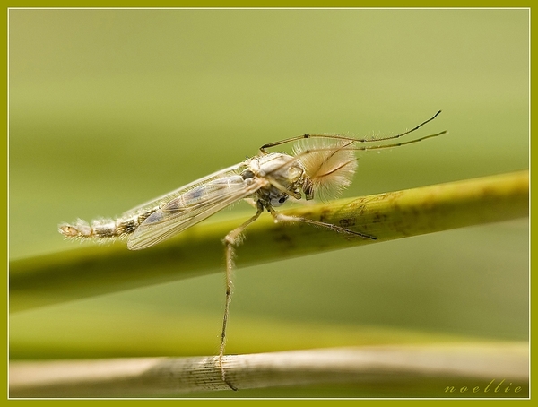 sized_IMG_4694_1_filteredkopie