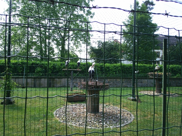 Rouffach - Parc des Cigognes