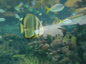 P1000203