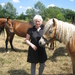 Paarden 008