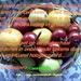 Afbeelding 30291