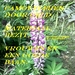 179429-9d2b0101ece9ae2514879bf7633d3dd7(8)