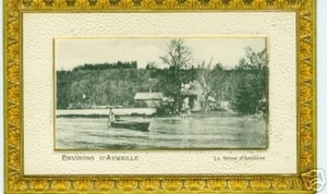 ayw015