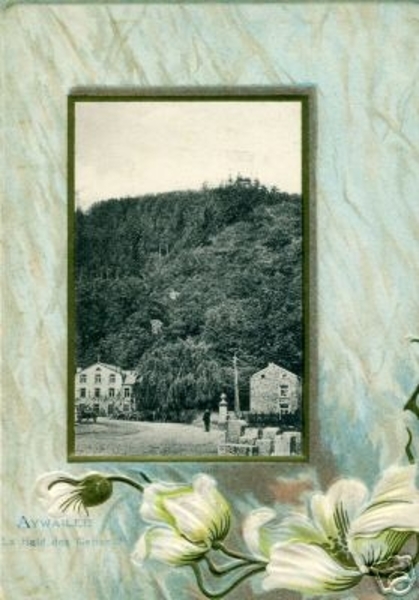 ayw052