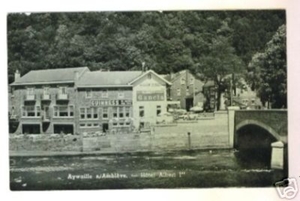 ayw066