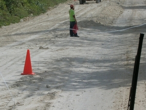 mexic (295)