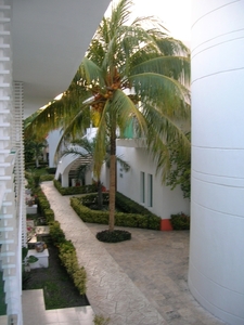 mexic (343)
