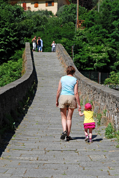 ponte della maddelena2