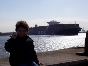 MSC  Beatrice