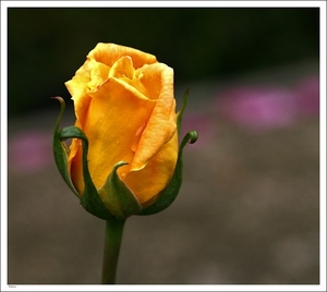 023