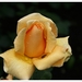 026