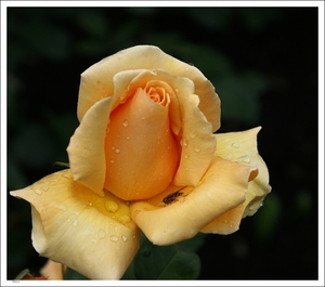 026