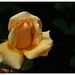 027