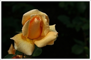 027