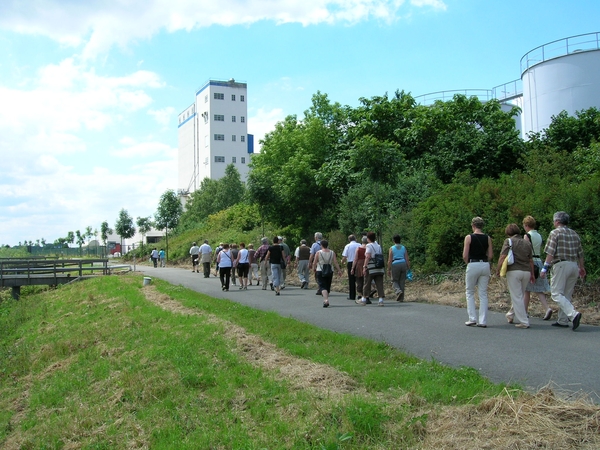 wandeling langs de Schelde
