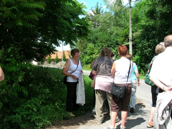 even uitblazen in de schaduw
