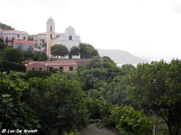 Corsica Corse