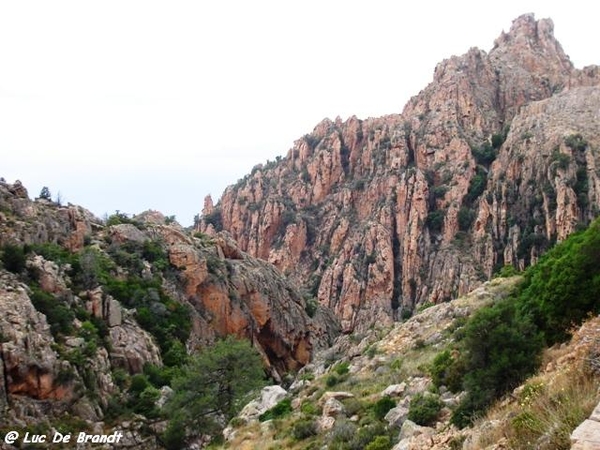 Corsica Corse