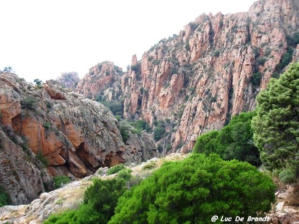 Corsica Corse