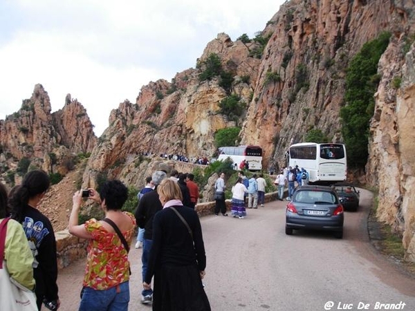 Corsica Corse