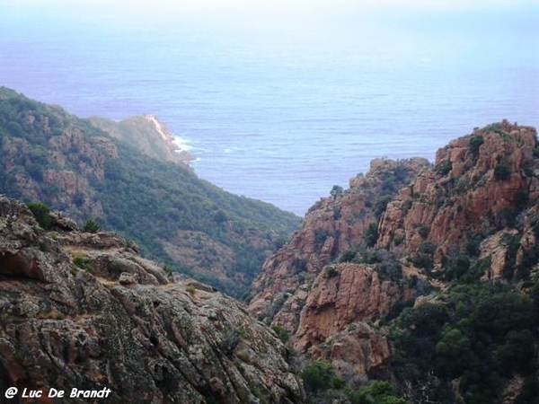 Corsica Corse