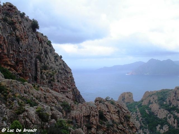 Corsica Corse