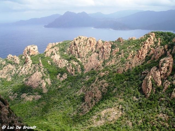 Corsica Corse