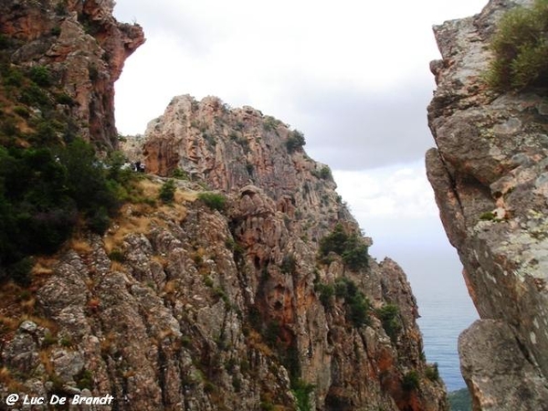 Corsica Corse