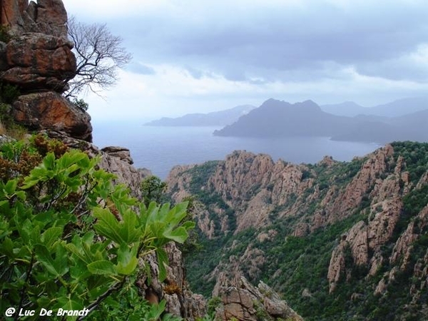 Corsica Corse