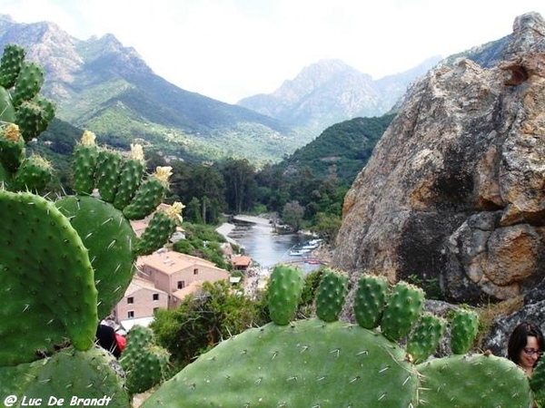Corsica Corse