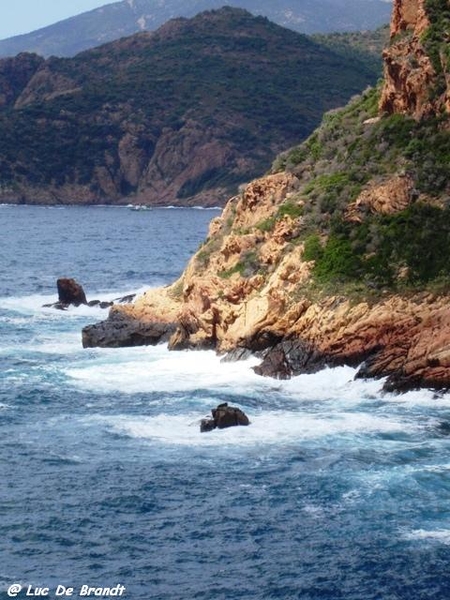 Corsica Corse