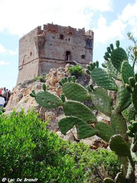 Corsica Corse