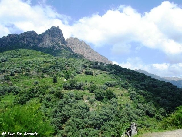 Corsica Corse