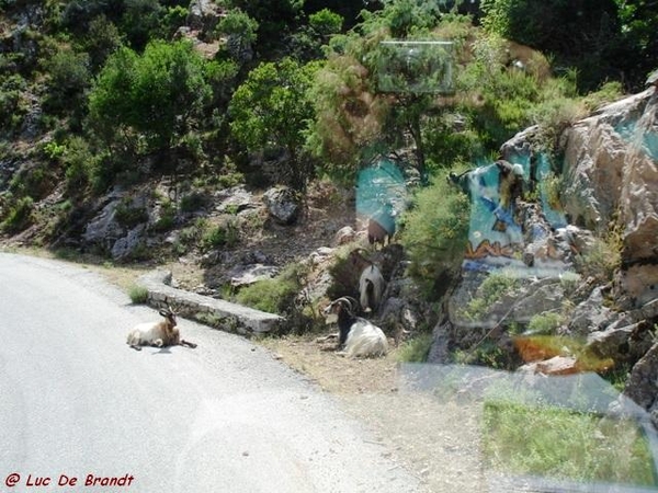 Corsica Corse