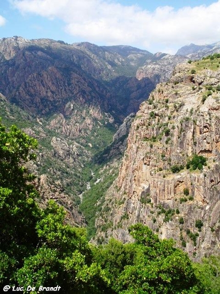 Corsica Corse