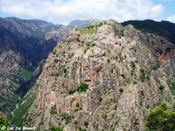 Corsica Corse