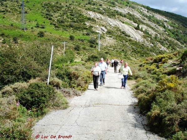 Corsica Corse