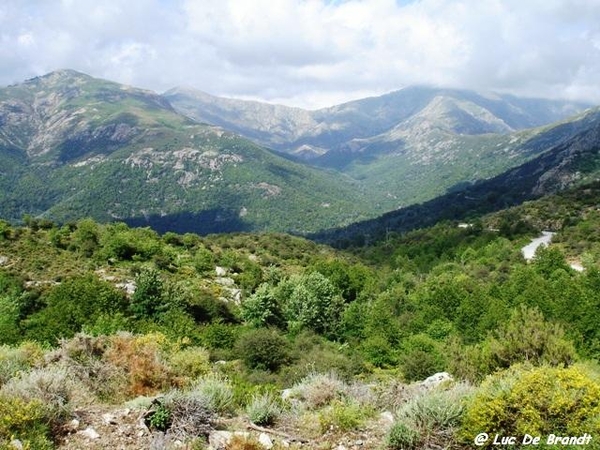 Corsica Corse