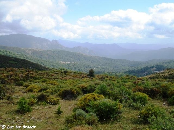 Corsica Corse