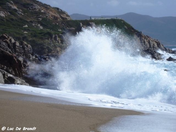 Corsica Corse