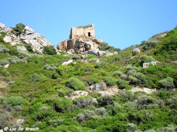 Corsica Corse