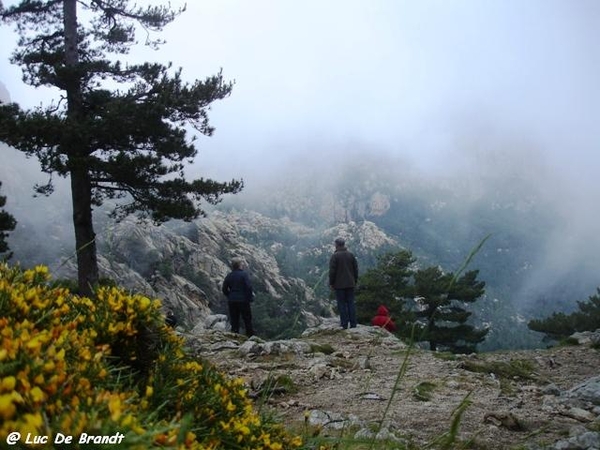 Corsica Corse